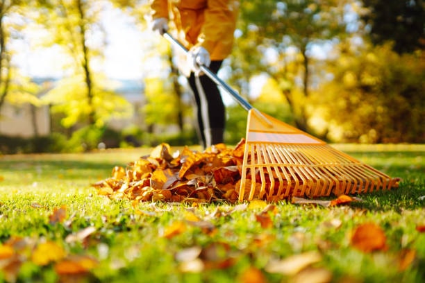 Seasonal Cleanups