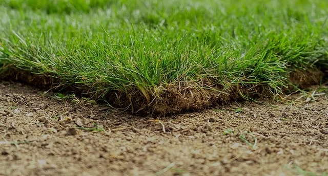 Sod & Grading